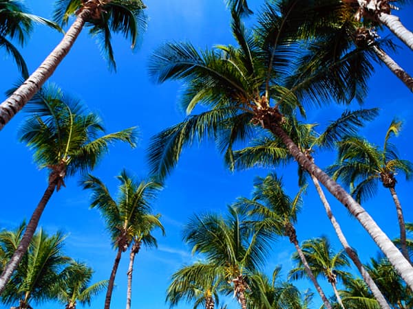 Key West