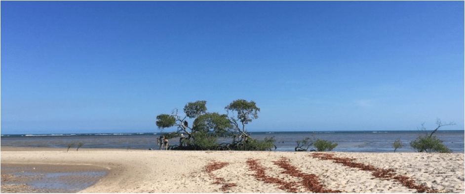 Praia de Castelhanos (Foto: Lalai Persson)