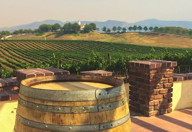 vinho San Diego