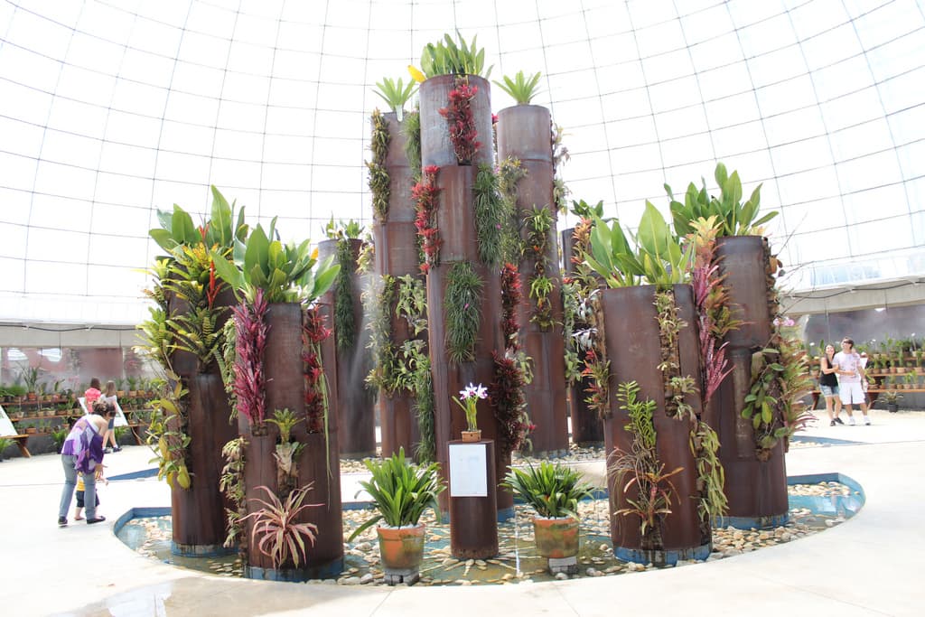 Orquidário/ Parque Villa-Lobos