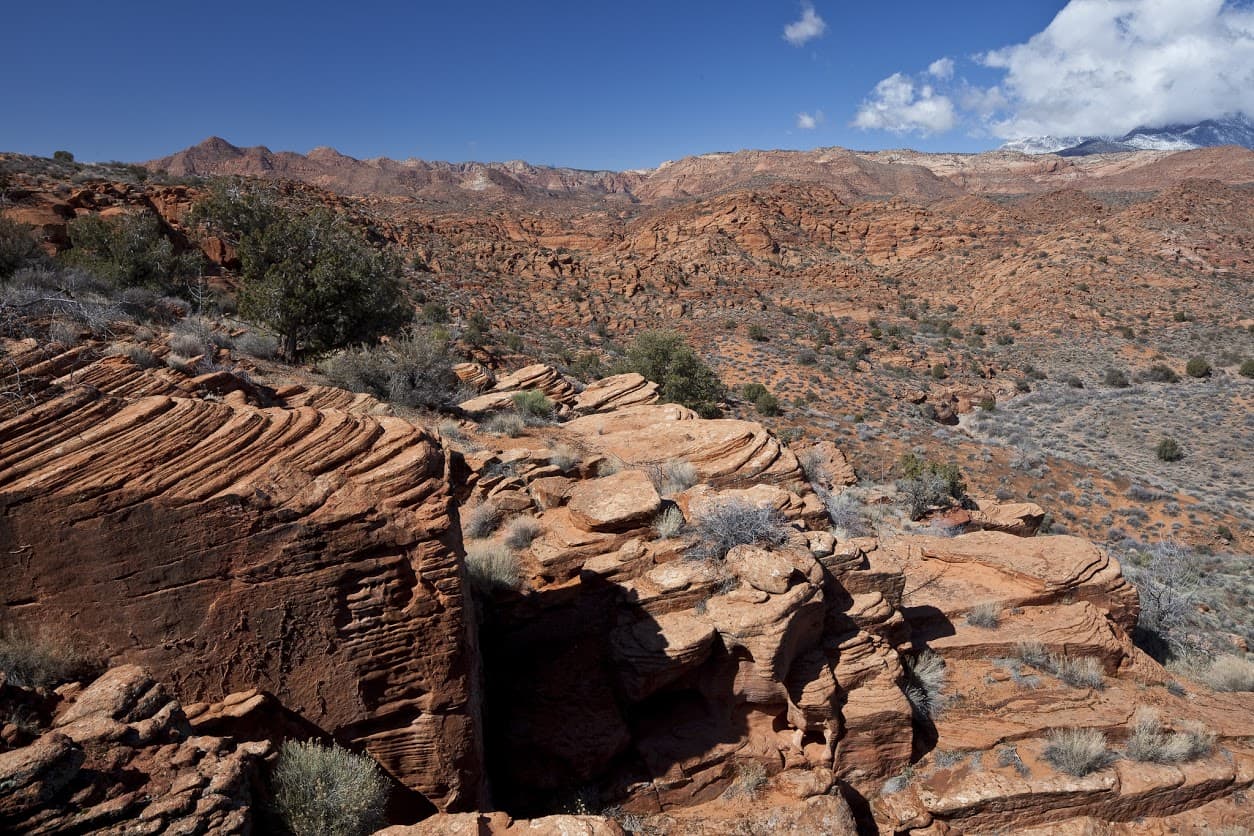 Red Rock Park - Attribtuion: Flickr/Creative Commons/Bureau of Land Management/Via/https://flic.kr/p/fmTPay