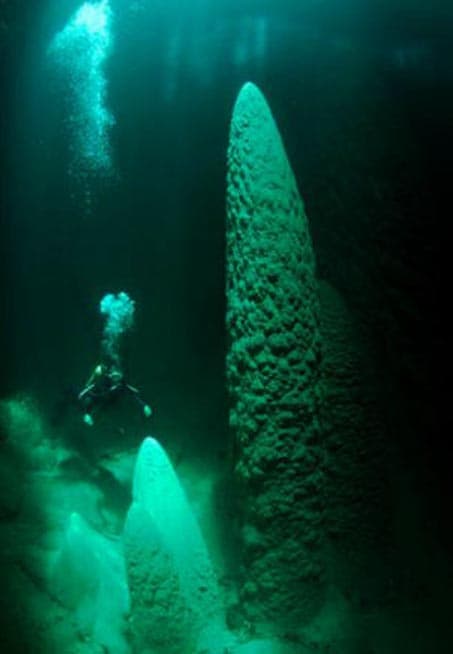 Mergulhar no Abismo Anhumas é uma experiência única (Crédito da foto: Abismo Anhumas - Divulgação)
