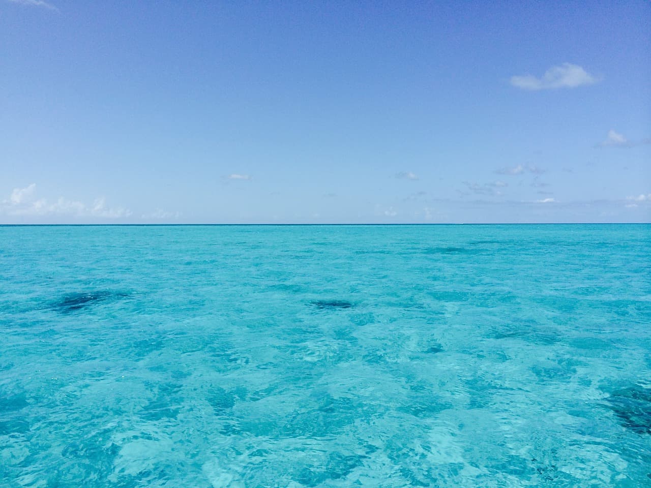Bahamas: mergulhar e ainda ter estrutura e conforto