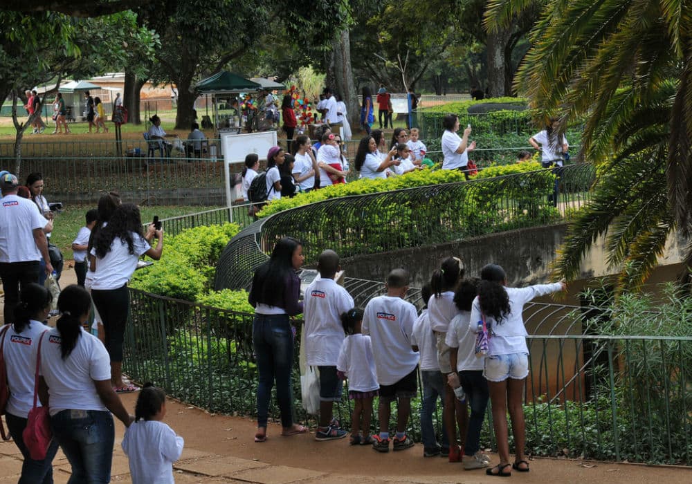 zoológico em Brasília