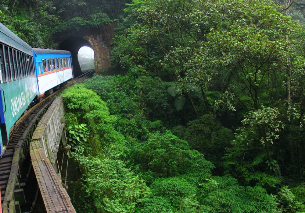 Trem da Serra do Mar