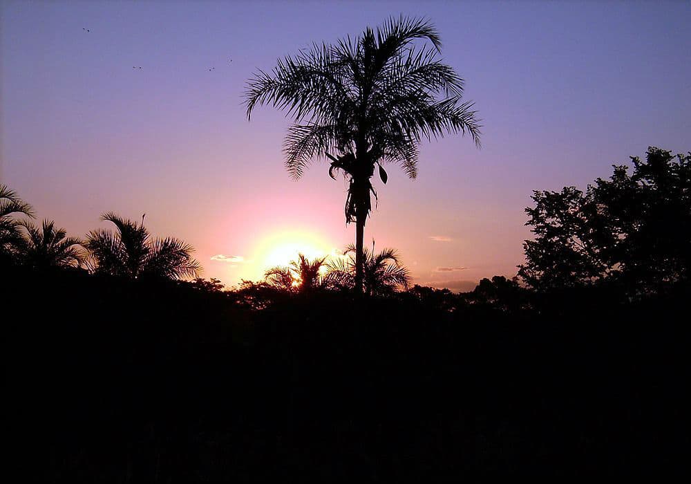 pôr do sol em Ilha Solteira