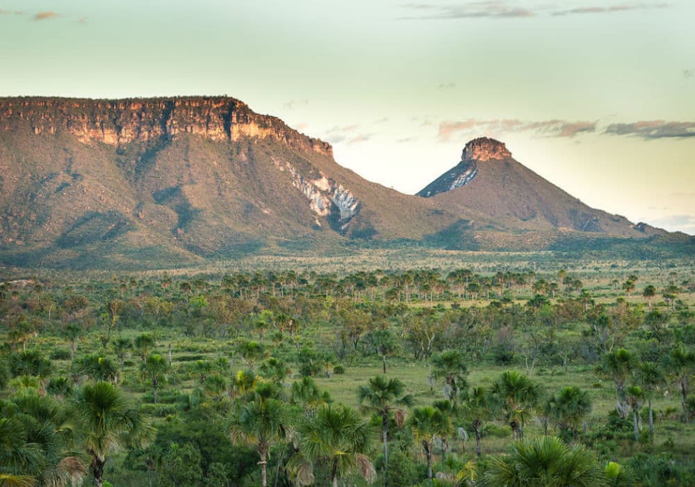 Jalapão em Tocantins