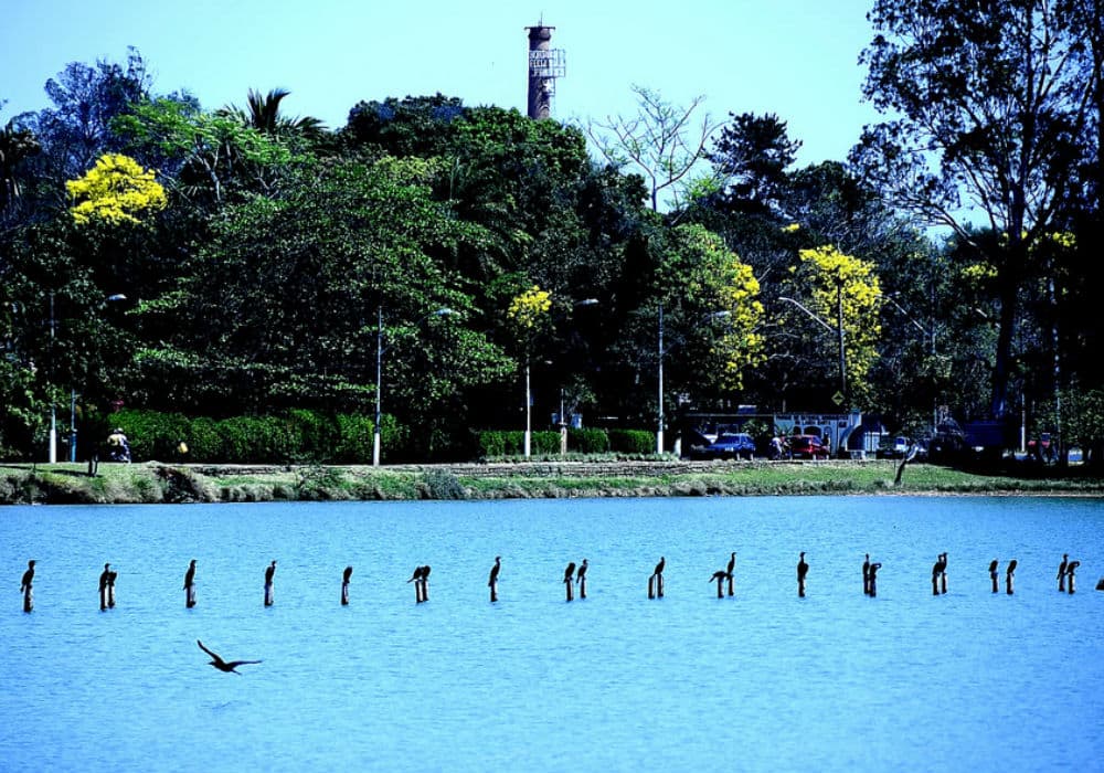 Lagoa Santa - Foto por: Flickr/Creative Commons/Circuito Fora do Eixo/Via/https://flic.kr/p/daWwQQ