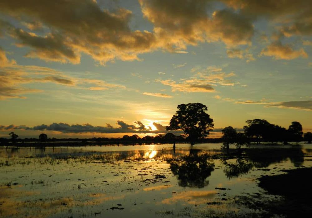 Pantanal em Mato Grosso