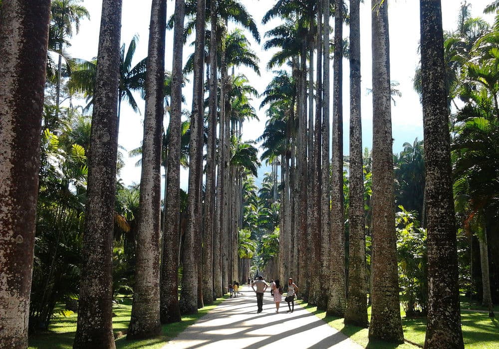 Jardim Botânico do Rio de Janeiro