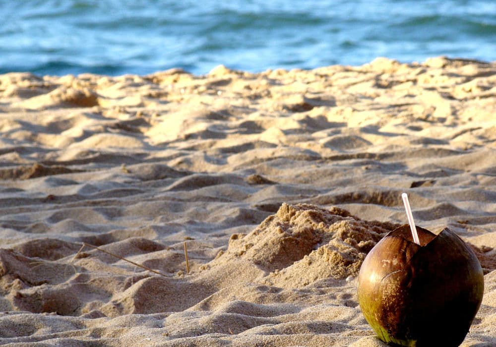 Ilha do Boi em Vitória