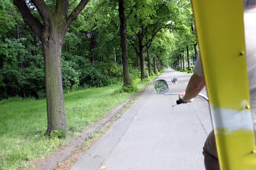 Outra opção super berlinense de passeio é percorrer o Tiergarten de bike-táxi (Crédito da foto: Natalie Soares)