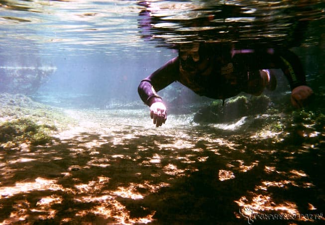 Para quem gosta de mergulhar, seja com cilindro ou snorkel, Bonito é realmente o paraíso (Crédito da foto: Clarissa Donda)