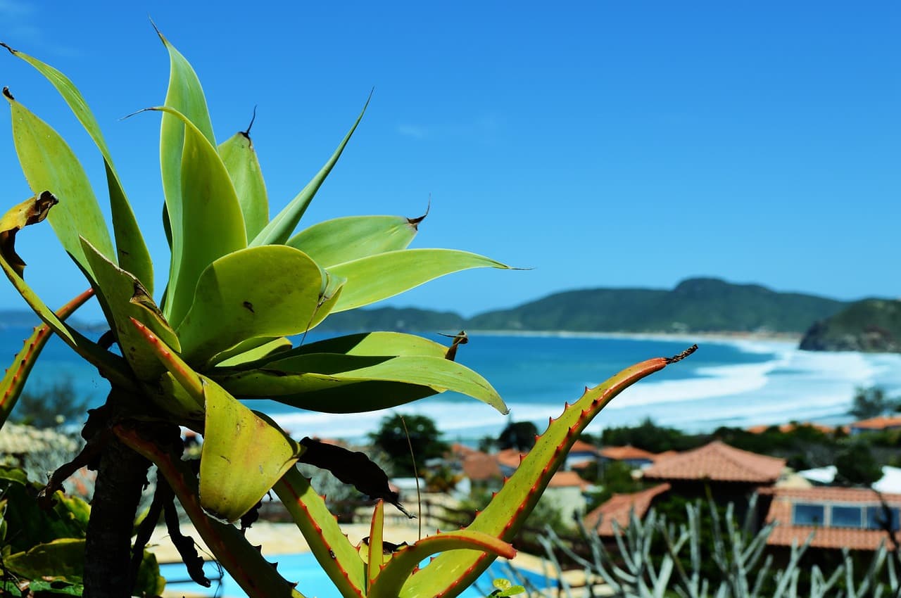 Búzios e suas muitas praias têm natureza, conforto e rusticidade de sobra para agradar todo tipo de viajante