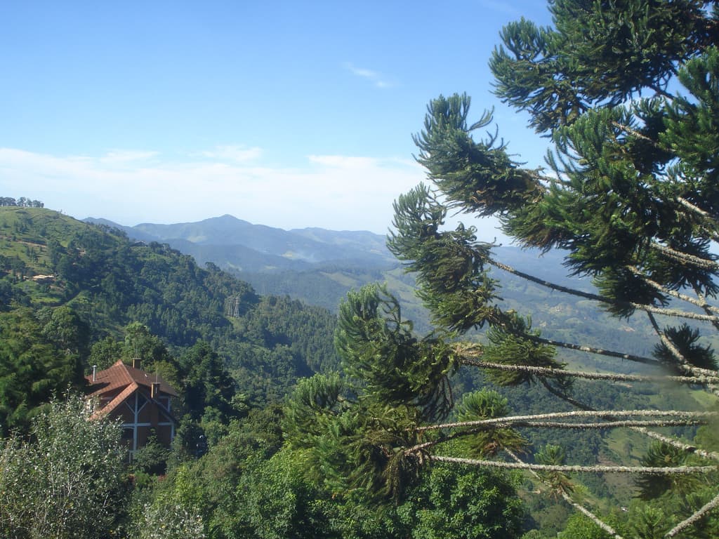 Que tal uma pousadinha romântica em meio às araucárias para curtir esse inverno? (Crédito da foto: www.flickr.com/guineves - Creative Commons License)