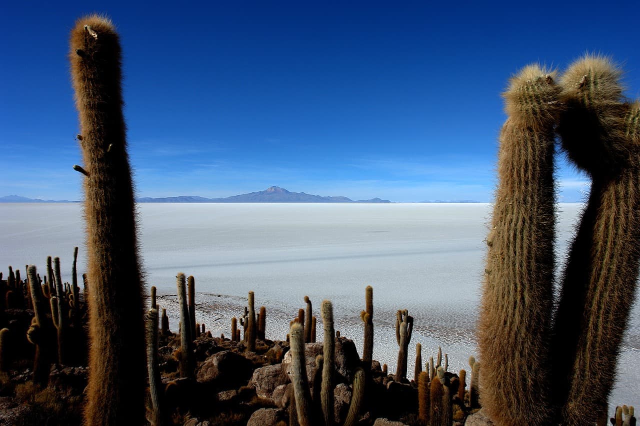 Além de barata, uma viagem para o Salar de Uyuni é impressionante por conta das paisagens do enorme deserto de sal