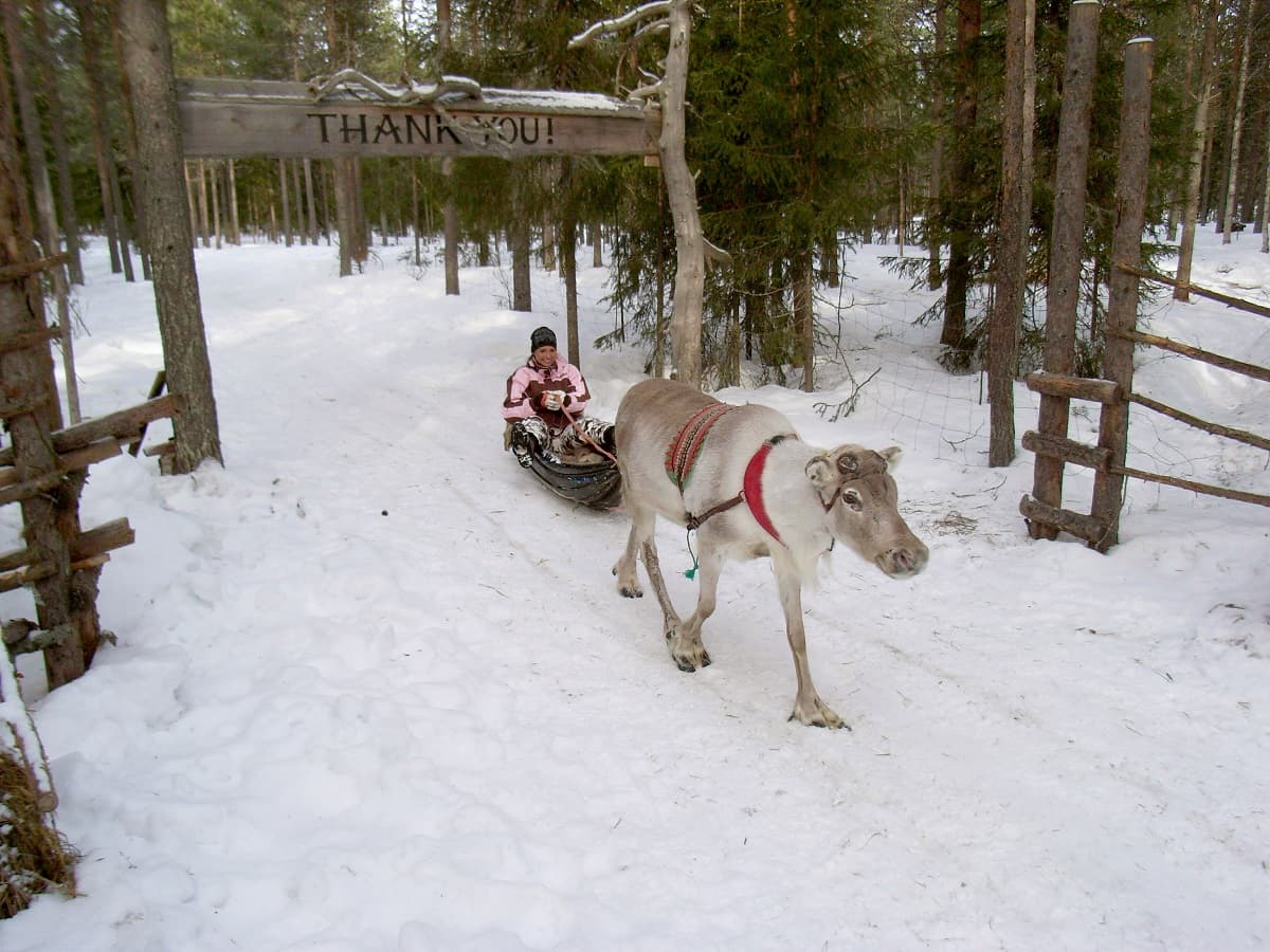 Que tal passear em um trenó de renas na Finlândia?