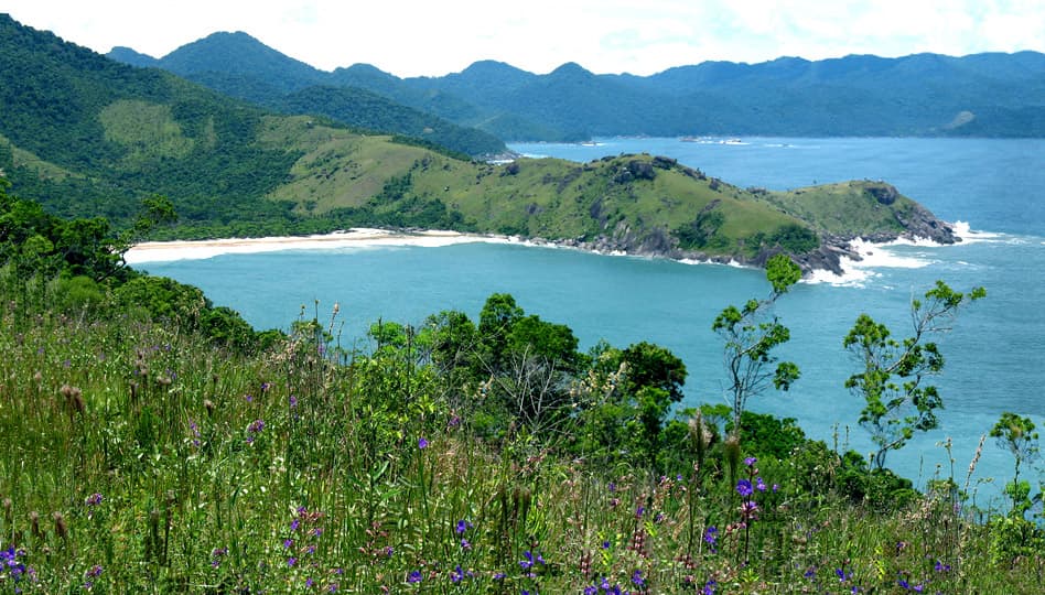 A praia do Bonete, uma das mais rústicas e afastadas de Ilhabela, é o local perfeito para um dia de descanso