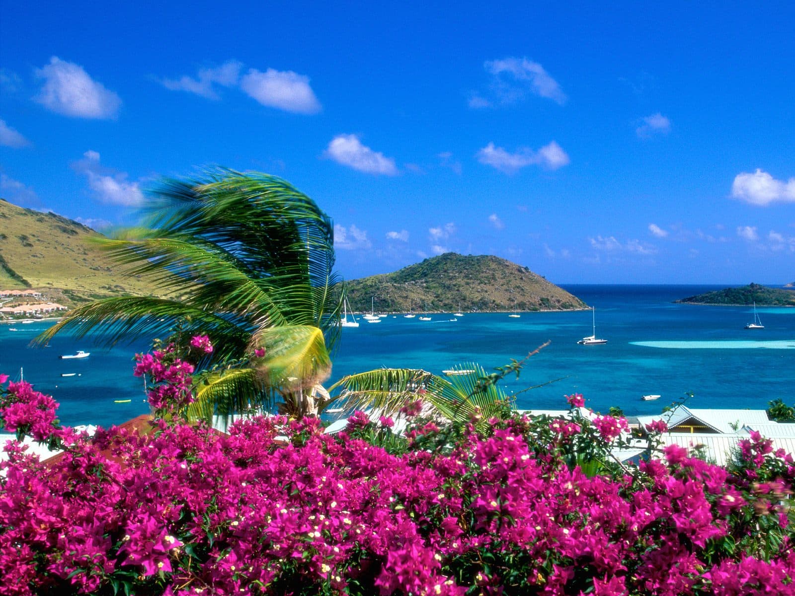 Cheia de agito, a Praia do Rosa é um destino com muita natureza, recomendado à quem quer uma virada com balada