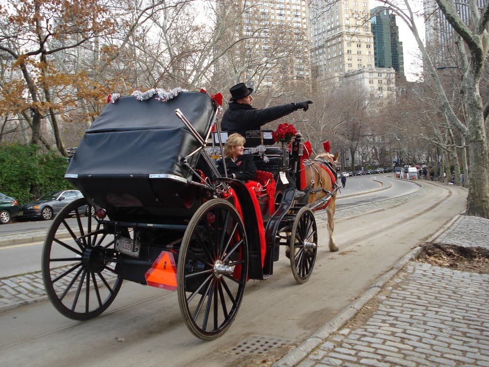 Já pensou que delícia fazer um passeio romântico em uma das tradicionais charretes do Central Park?
