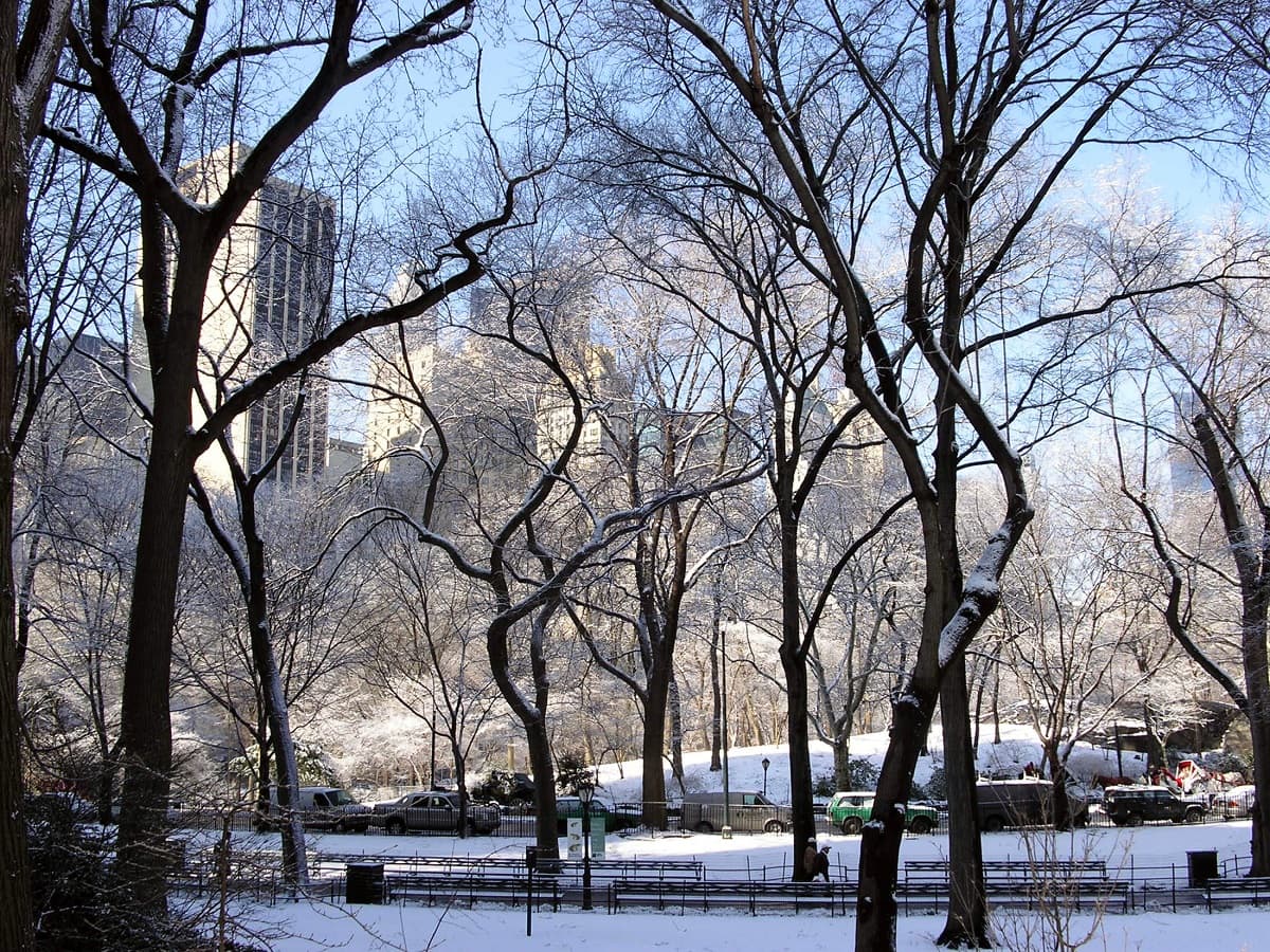 Nada mais natalino do que o Central Park e toda Nova Iorque cobertos de neve.