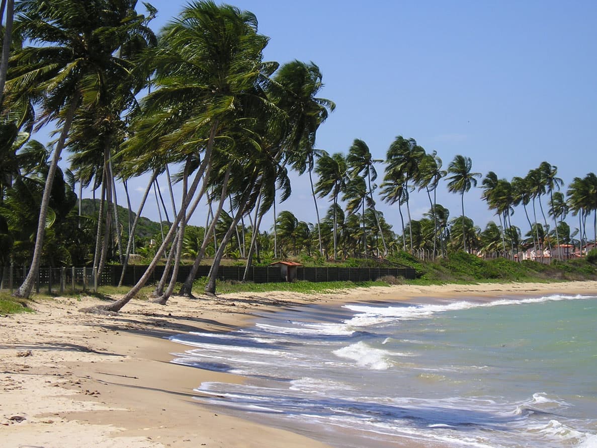 Nada como emendar um feriado em uma capital praiana do Nordeste, como Maceió.