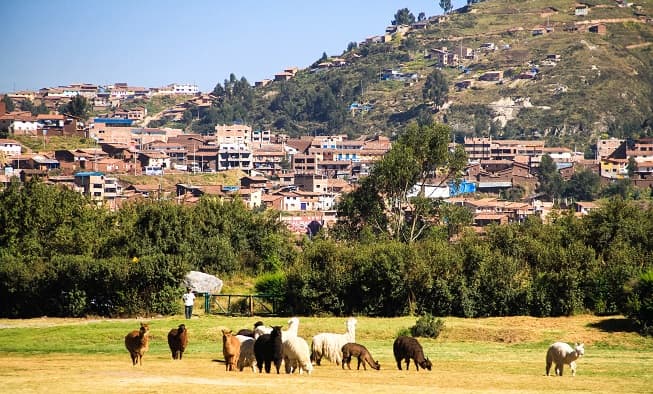 Além das lhamas, Cusco tem muita história para contar. (Crédito da foto: Clarissa Donda)