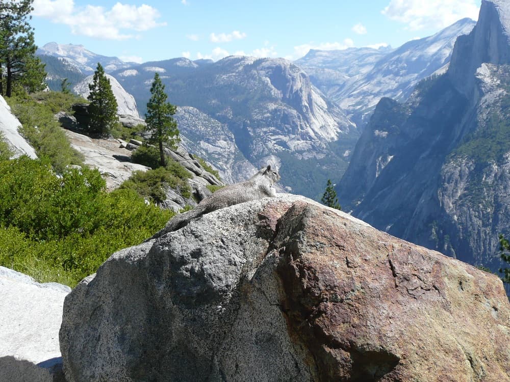 Fãs de escalada vêm do mundo inteiro para praticar nas formações rochosas de Yosemite.