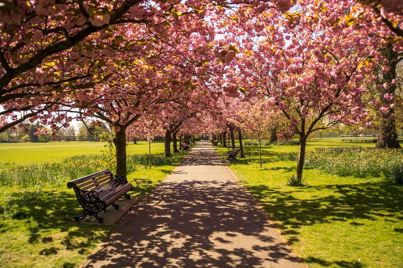Viajar para Londres e não tirar pelo menos algumas horas para percorrer o Hyde Park é quase um crime