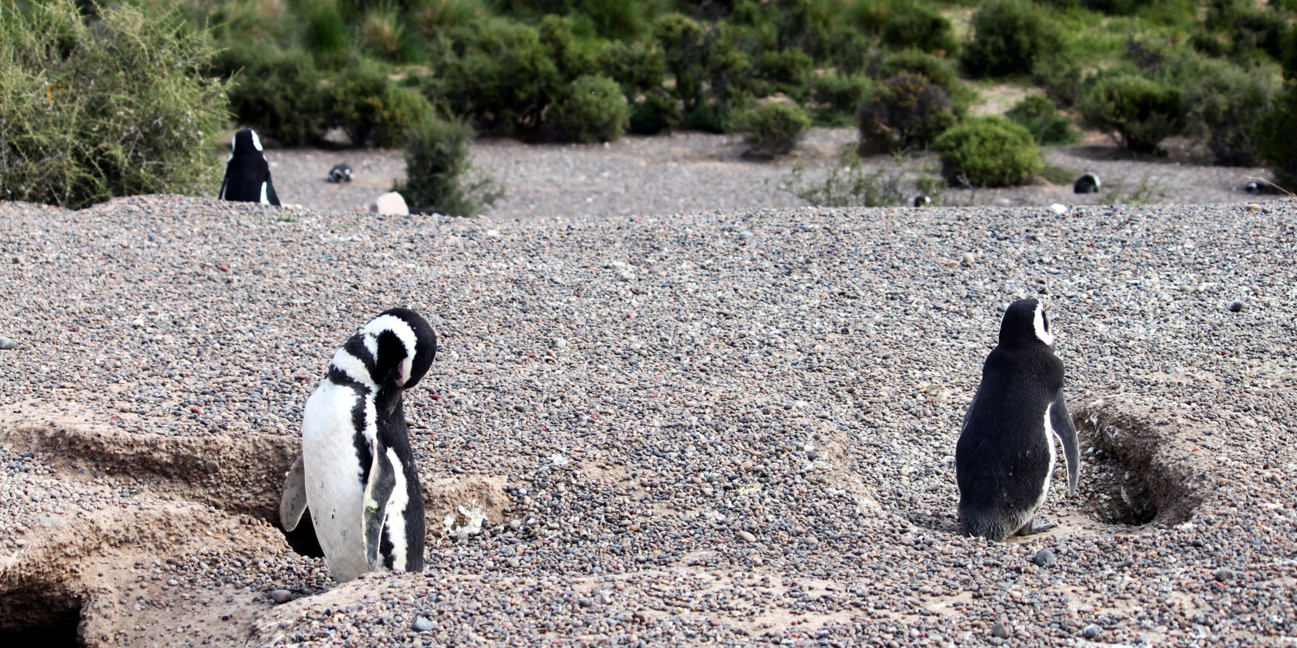 Expedia - top 5 Patagonia (1)