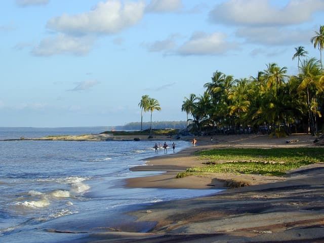 Bela natureza da Guiana Francesa