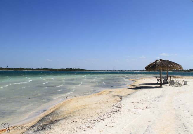 Quem começa a Rota das Emoções por Jericoacoara se depara com essa "vida difícil" na Lagoa do Paraíso (Crédito da foto: Clarissa Donda)