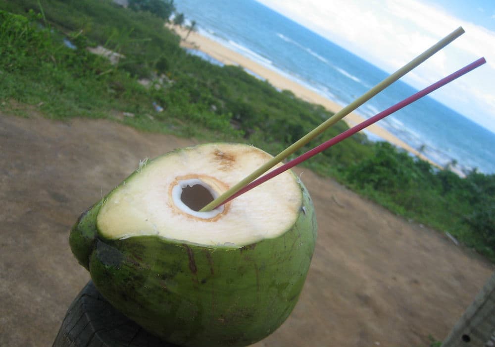 água de coco em Porto Seguro