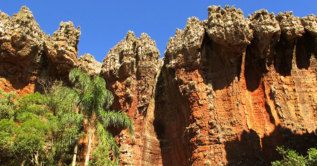 arte natural em ponta grossa