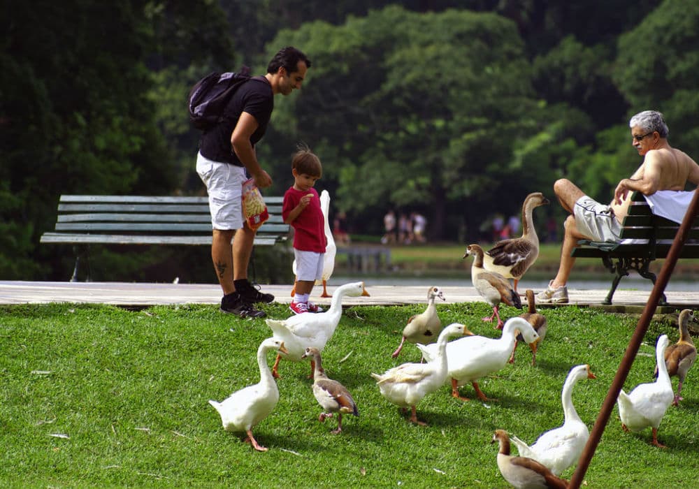 crianças no Parque Ibirapuera