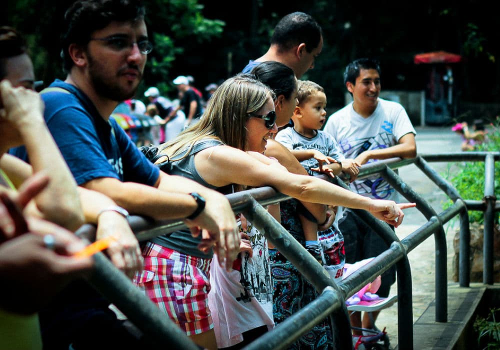 zoológico de São Paulo