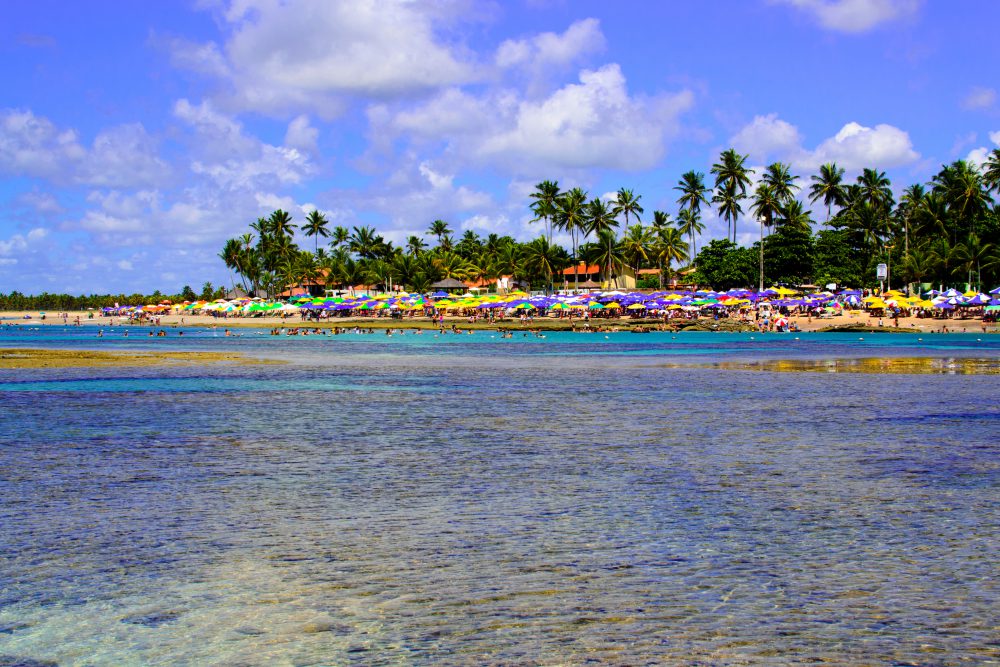 Mar de Porto de Galinhas com praia e vegetação ao fundo