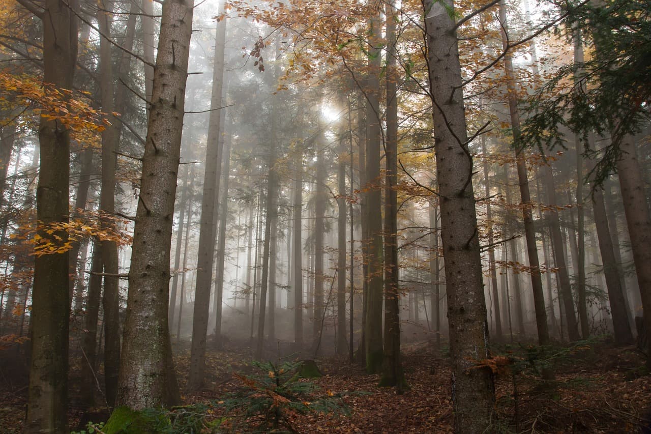 São tantos os destinos místicos que as vezes nem percebemos que uma floresta, um deserto ou mesmo uma praia podem ter tantas histórias para serem descobertas