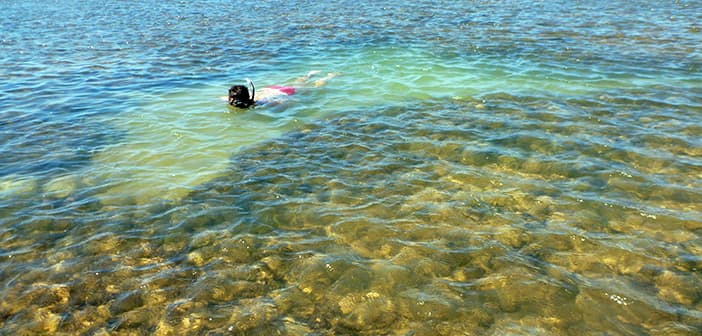 Águas cristalinas nas praias da Península de Maraú, ótimas opções para o mergulho