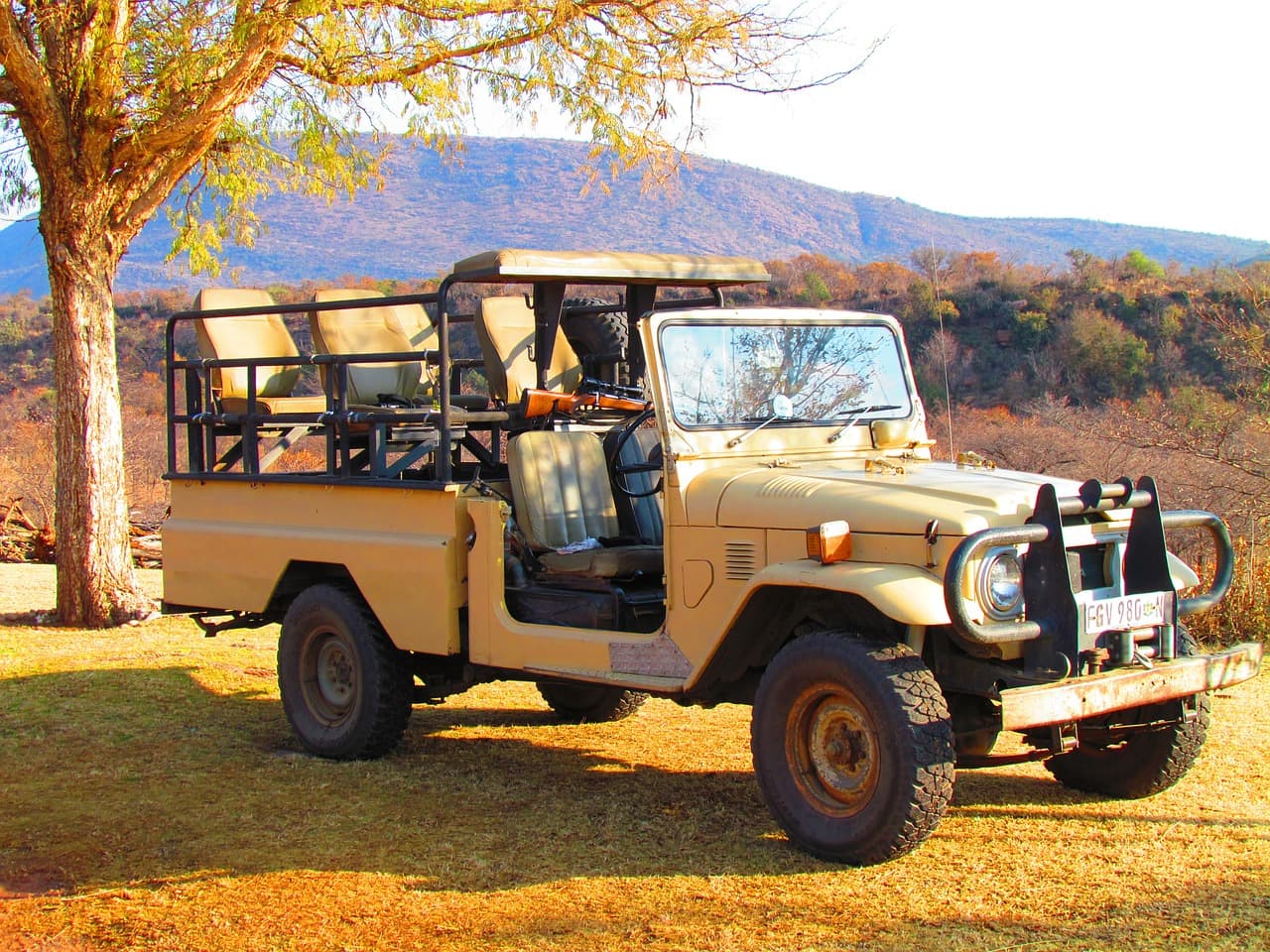 Os xxx, os conhecidos carros 4x4 africanos, usados para os safáris. O veículo consegue ser rápido quando necessário e ainda oferece a melhor visão para acompanhar os animais, já que são abertos