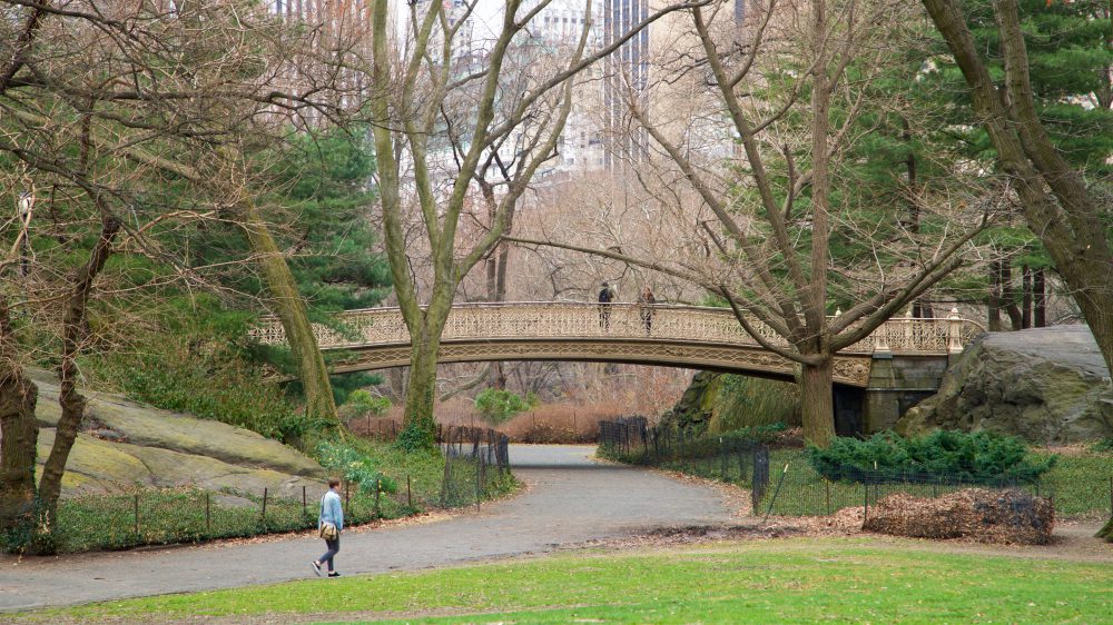 Uma pessoa caminhando por um jardim do Central Park com uma ponte ao fundo com duas pessoas sobre ela.