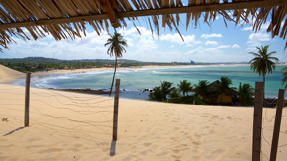 orla da praia com vegetação e mar ao fundo
