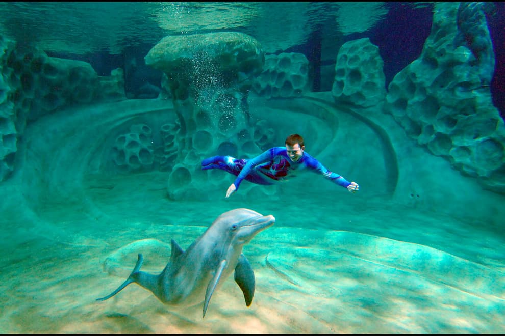 O Georgia Acquarium é considerado um dos maiores e melhores do mundo, com atrações ao vivo, como mergulhadores interagindo com golfinhos