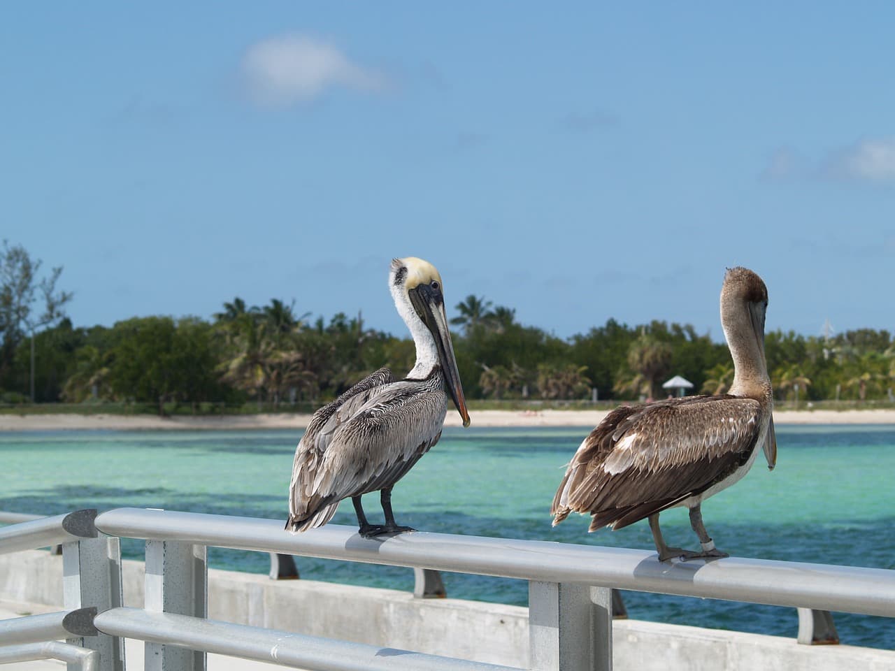 A bela paisagem de Key West