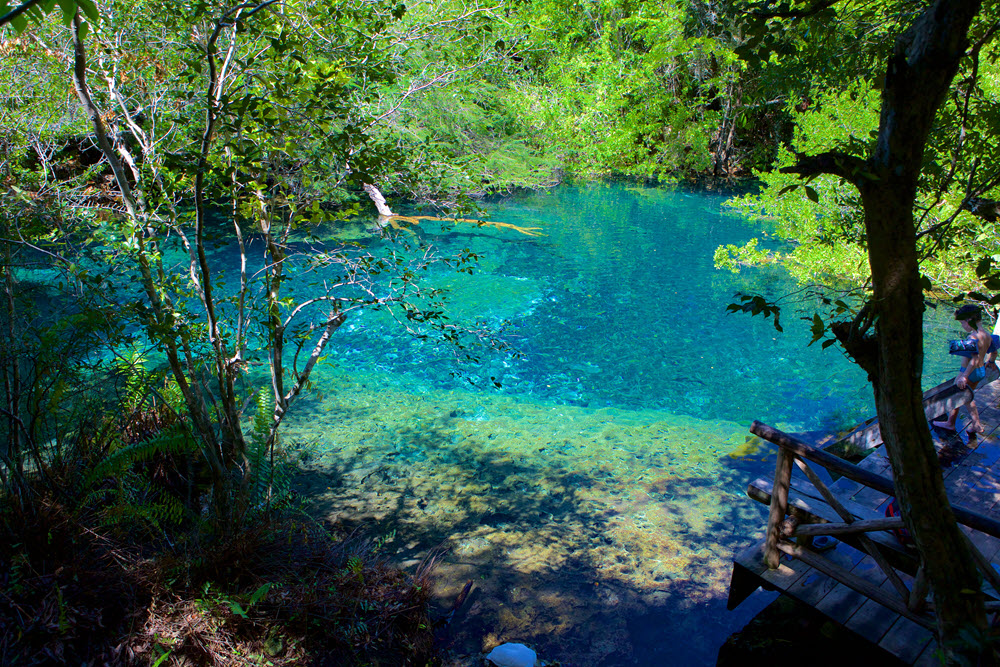 Águas paradisíacas em Punta Cana Parque ecológico Ojos Indígenas em Punta Cana