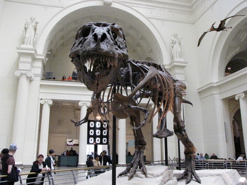 museu chicago 2