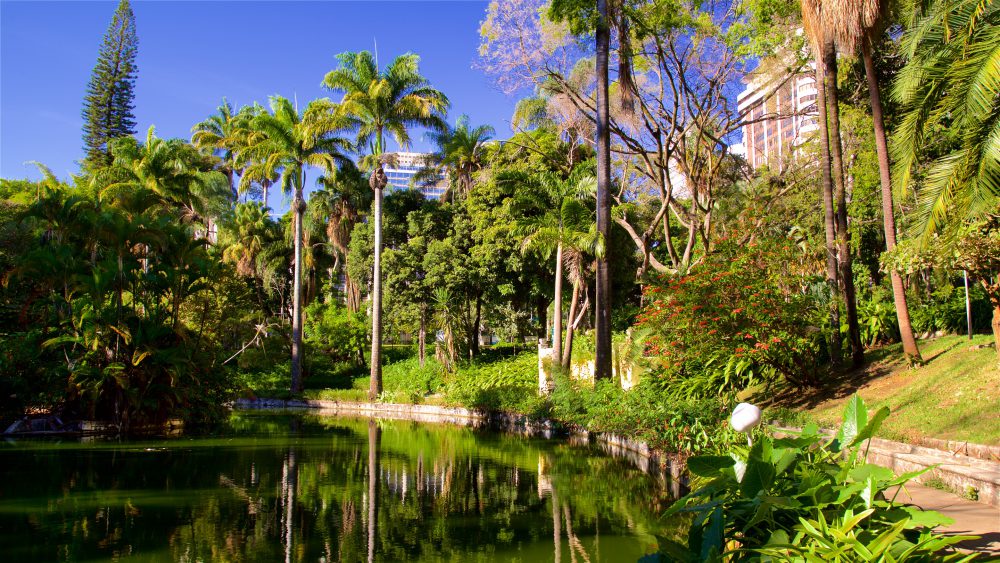 Árvores e parte do lago do Parque Municipal Américo Renné Giannetti