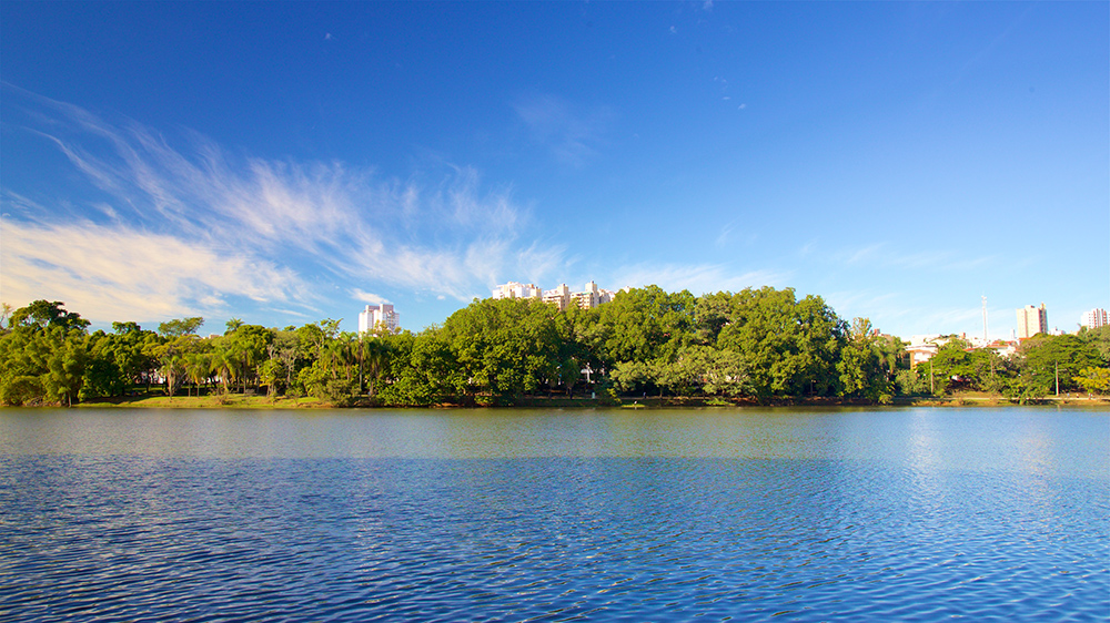 Lago do Taquaral com vegetação ao fundo