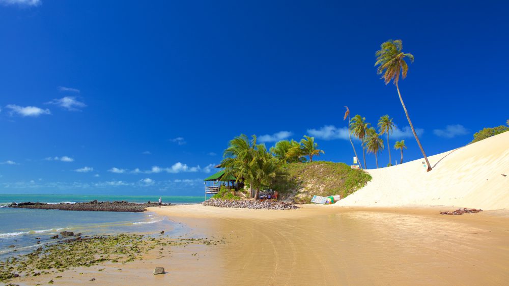 Faixa de areia com água, palmeiras sobre uma duna à direita e o mar à esquerda