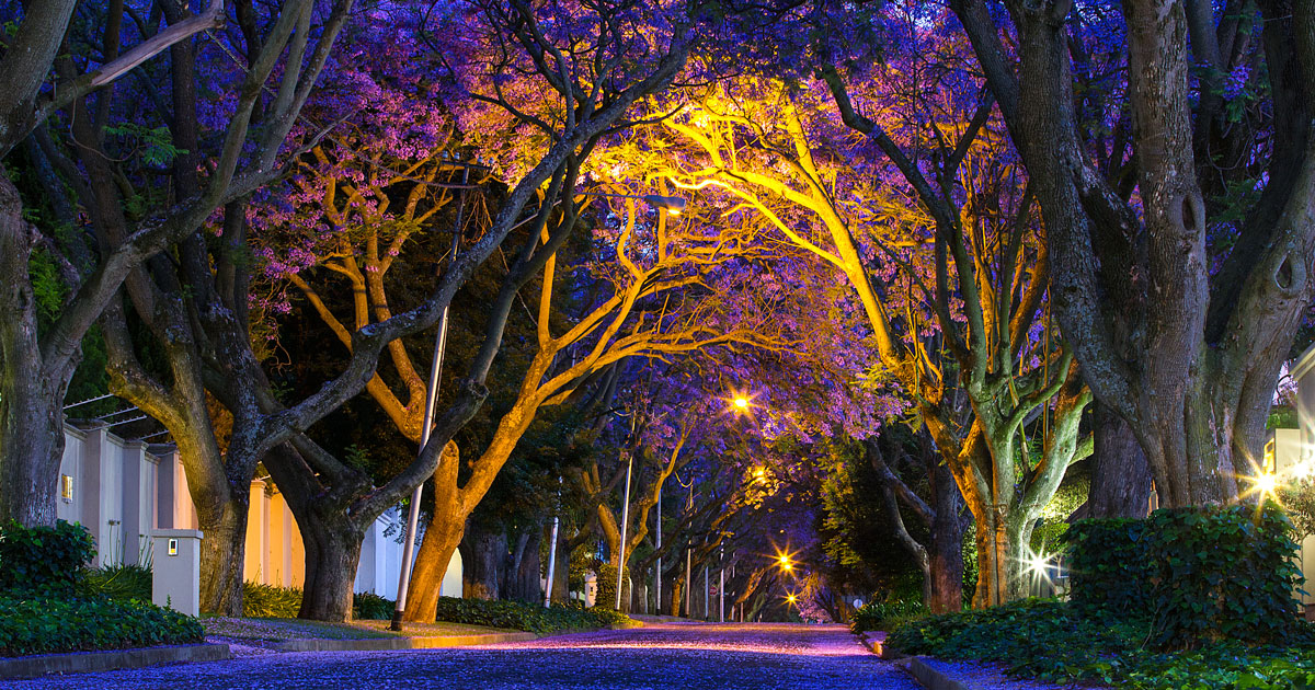 beleza natural
